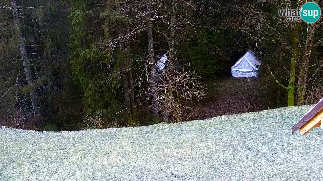 Webcam Lukanja – Water Village | Pohorje Houses