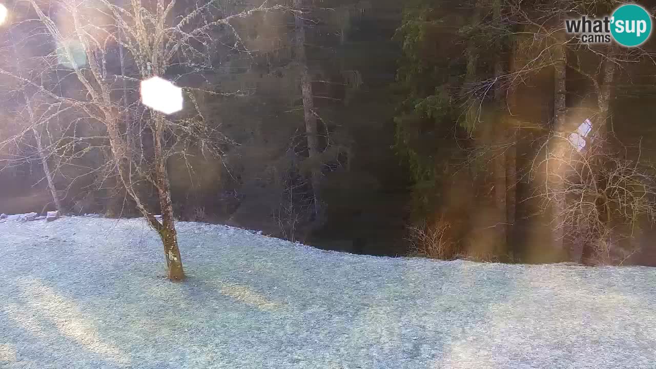 Webcam Lukanja – Water Village | Pohorje Houses