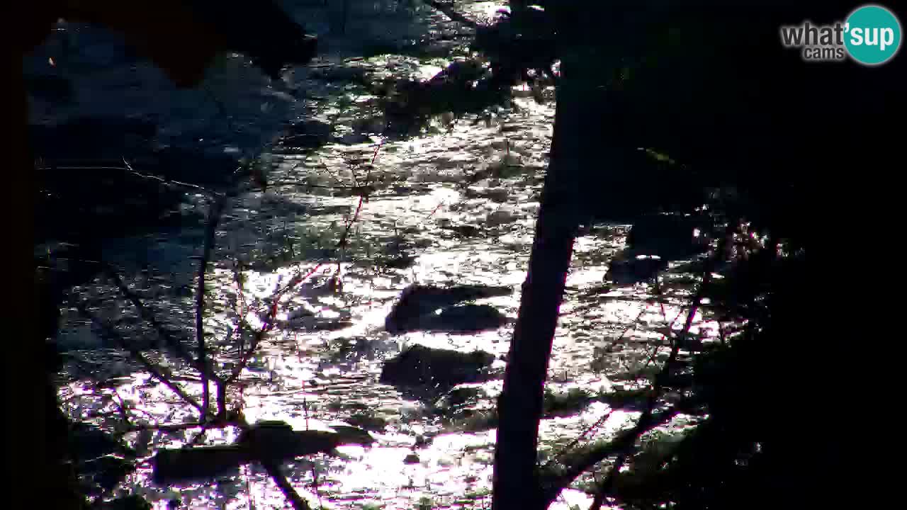 Webcam Lukanja – Water Village | Pohorje Houses