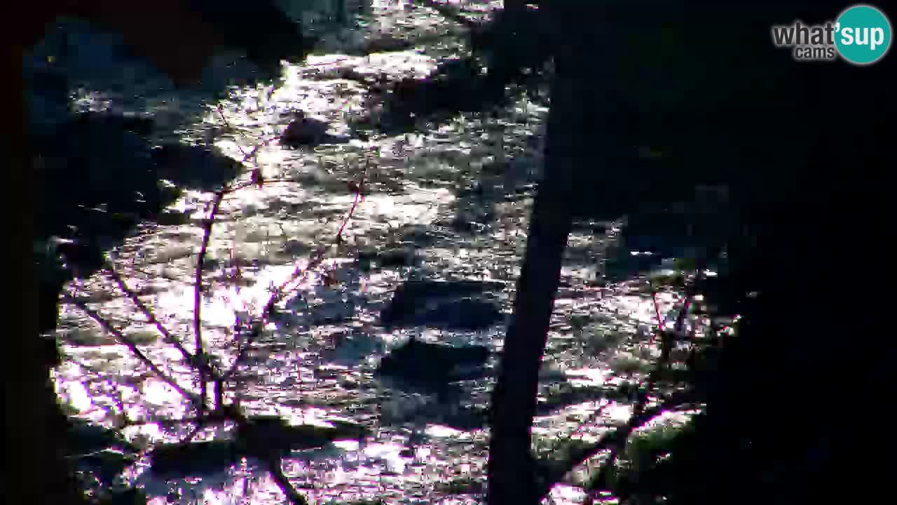 Webcam Lukanja – Water Village | Pohorje Houses