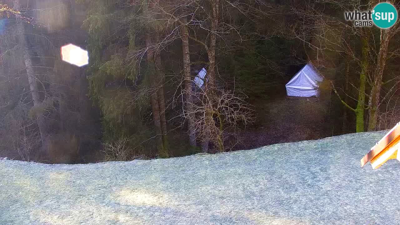 Webcam Lukanja – Water Village | Pohorje Houses