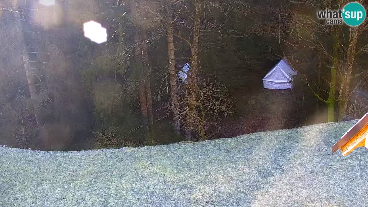 Spletna kamera Lukanja – Water Village | Pohorje Houses