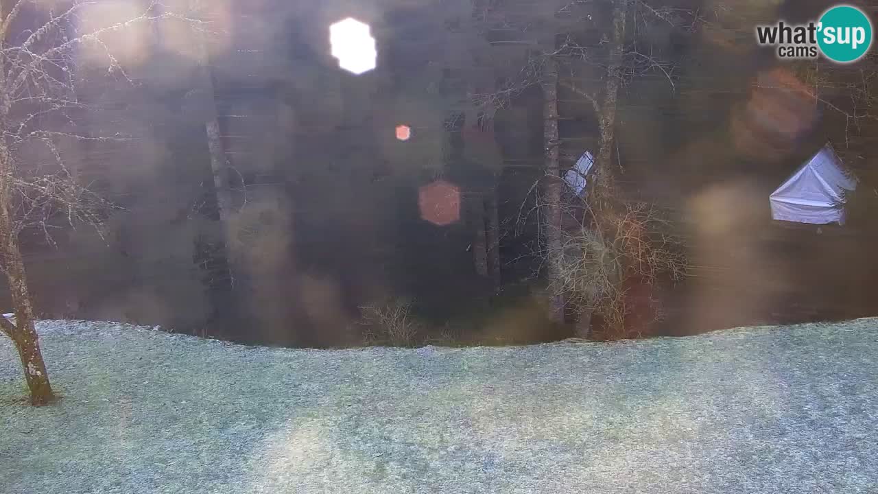 Webcam Lukanja – Water Village | Pohorje Houses