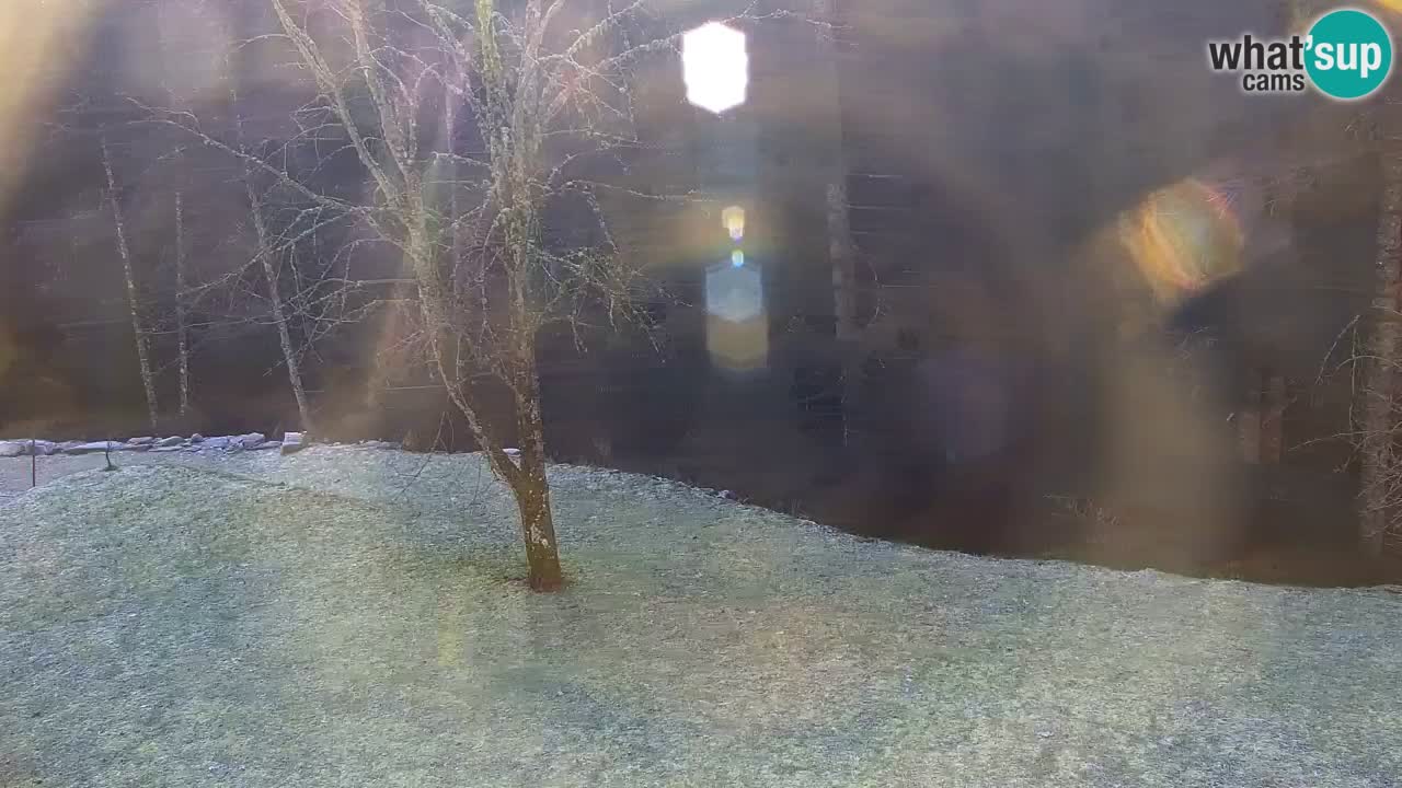 Webcam Lukanja – Water Village | Pohorje Houses