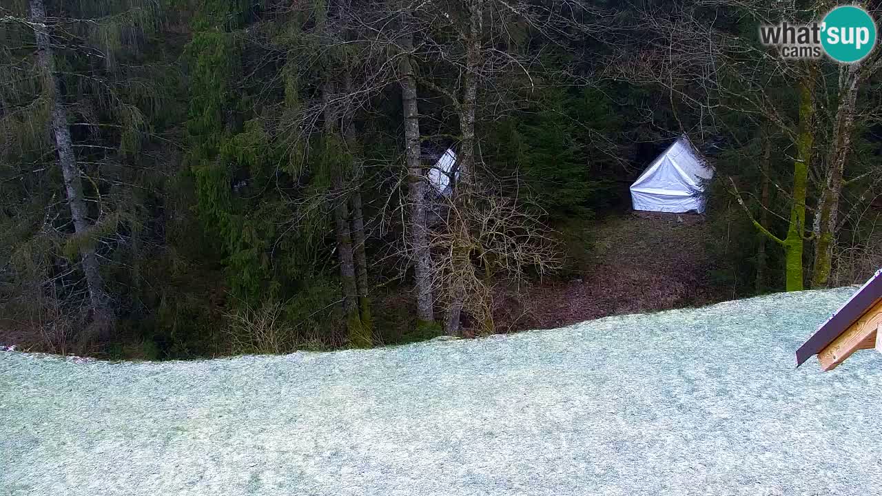 Webcam Lukanja – Water Village | Pohorje Houses