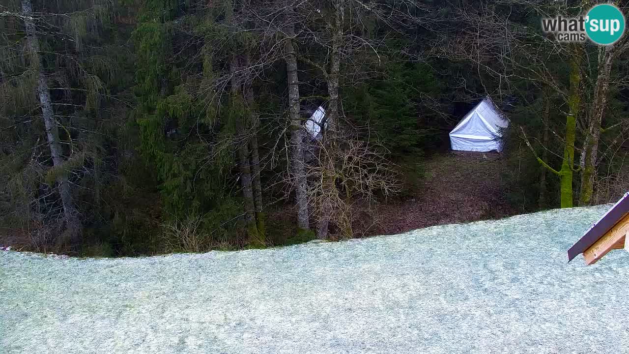 Webcam Lukanja – Water Village | Pohorje Houses