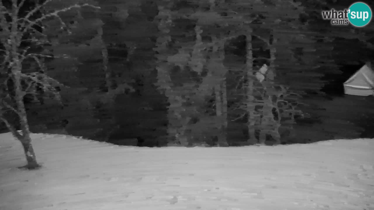 Webcam Lukanja – Pohorje houses a Water village