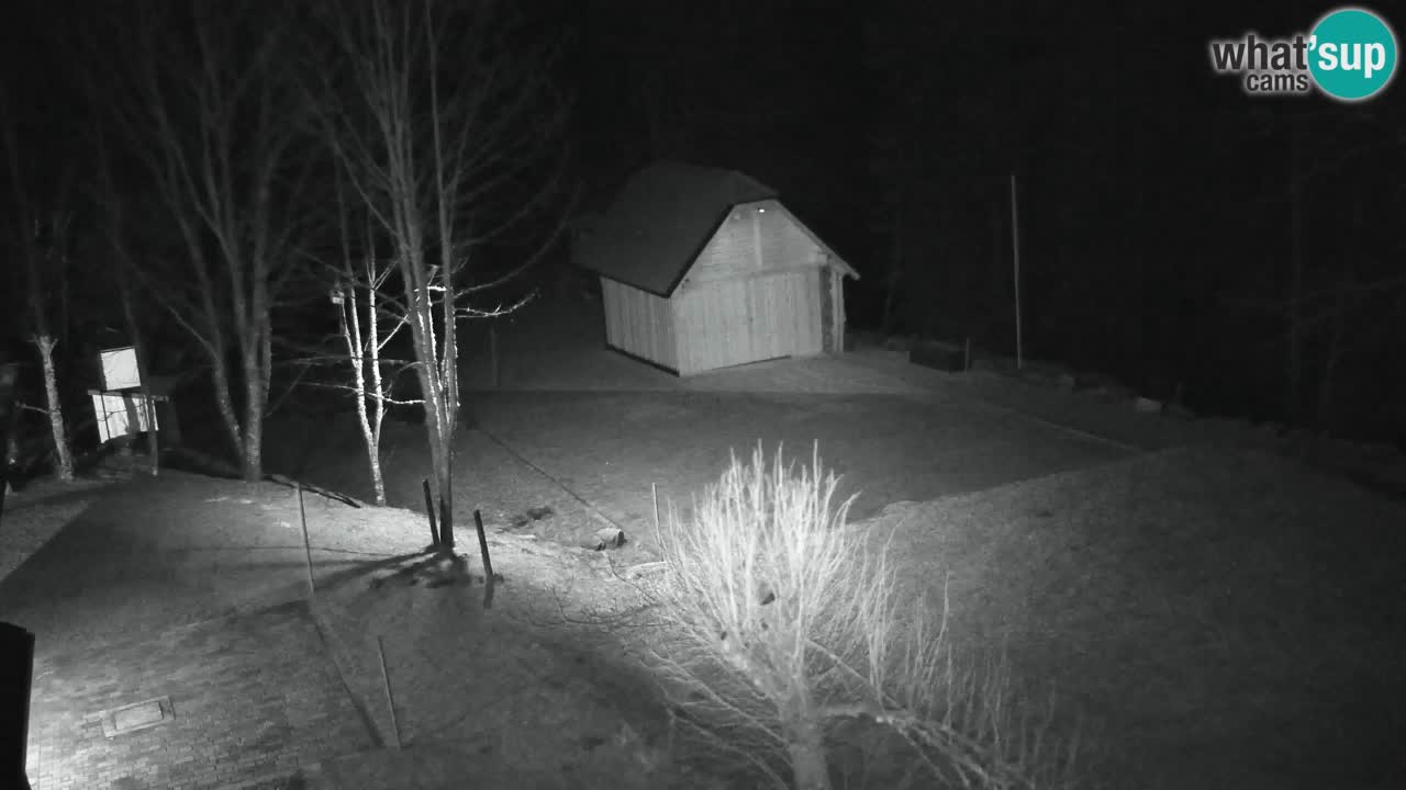 Webcam Lukanja – Water Village | Pohorje Houses