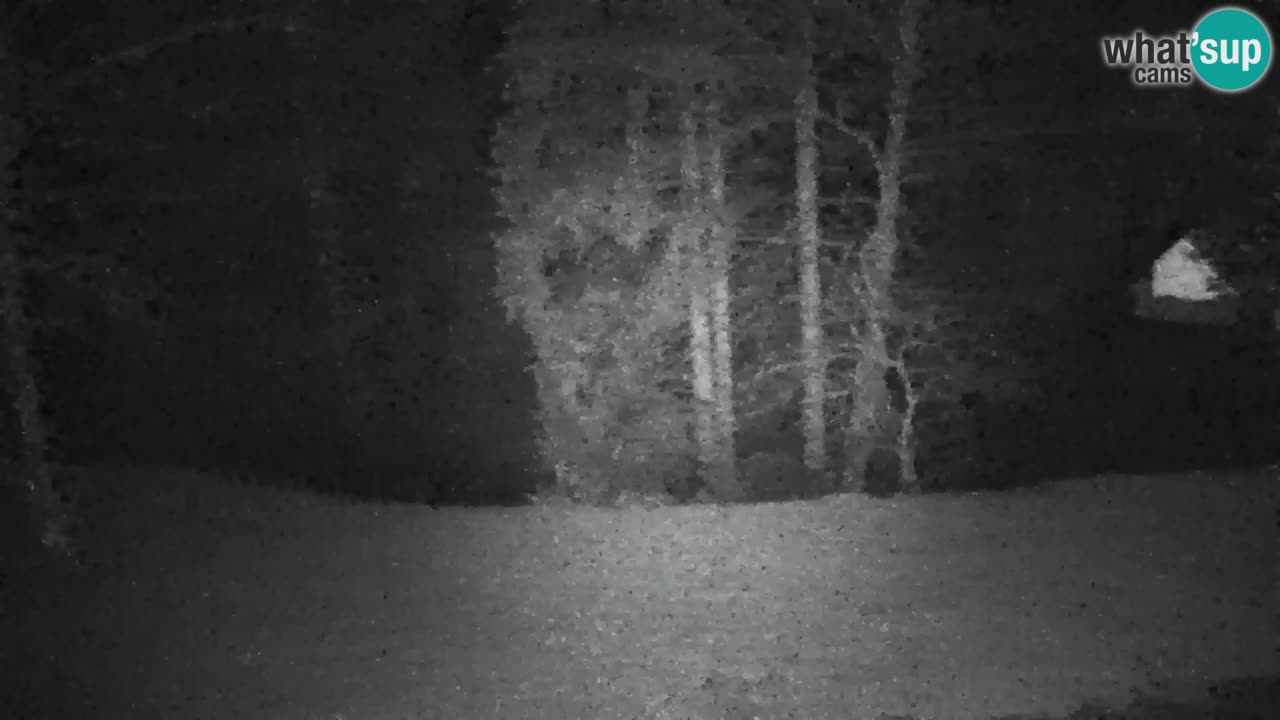 Webcam Lukanja – Water Village | Pohorje Houses