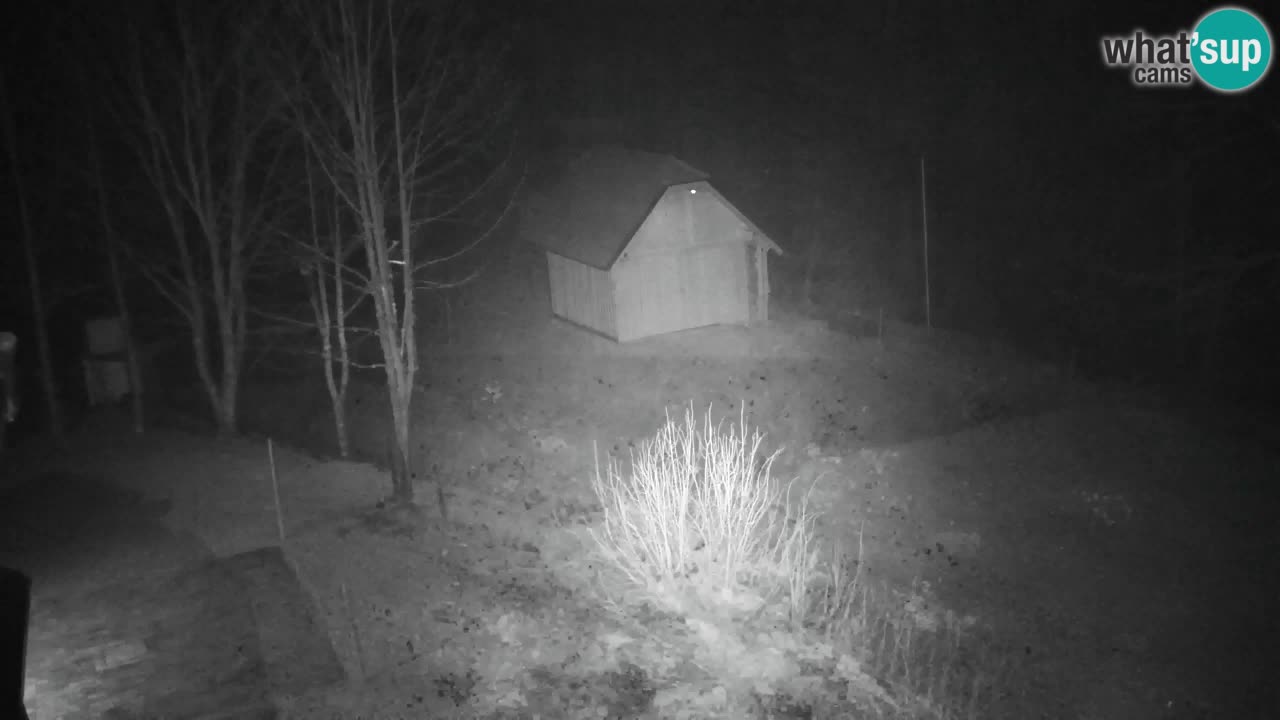 Webcam Lukanja – Water Village | Pohorje Houses