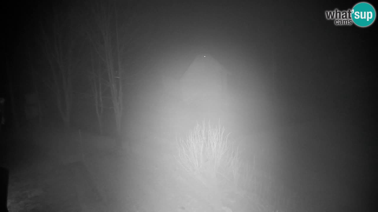 Webcam Lukanja – Pohorje houses a Water village