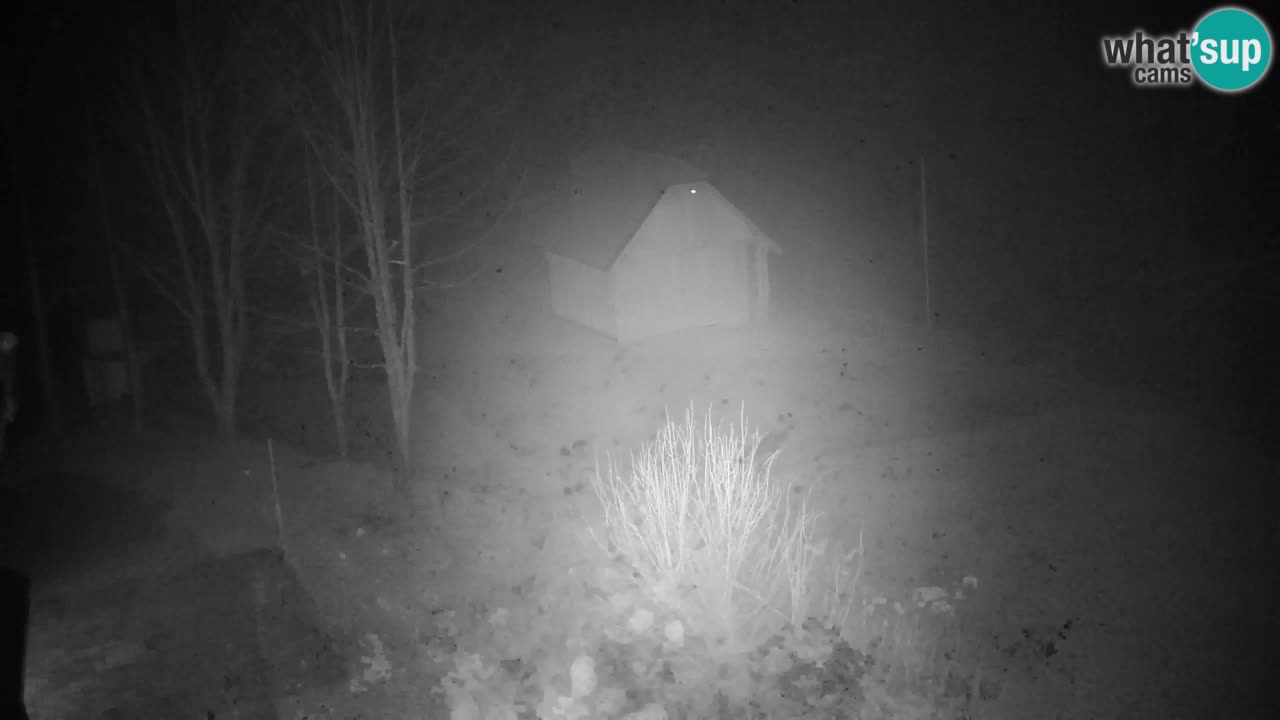 Webcam Lukanja – Water Village | Pohorje Houses