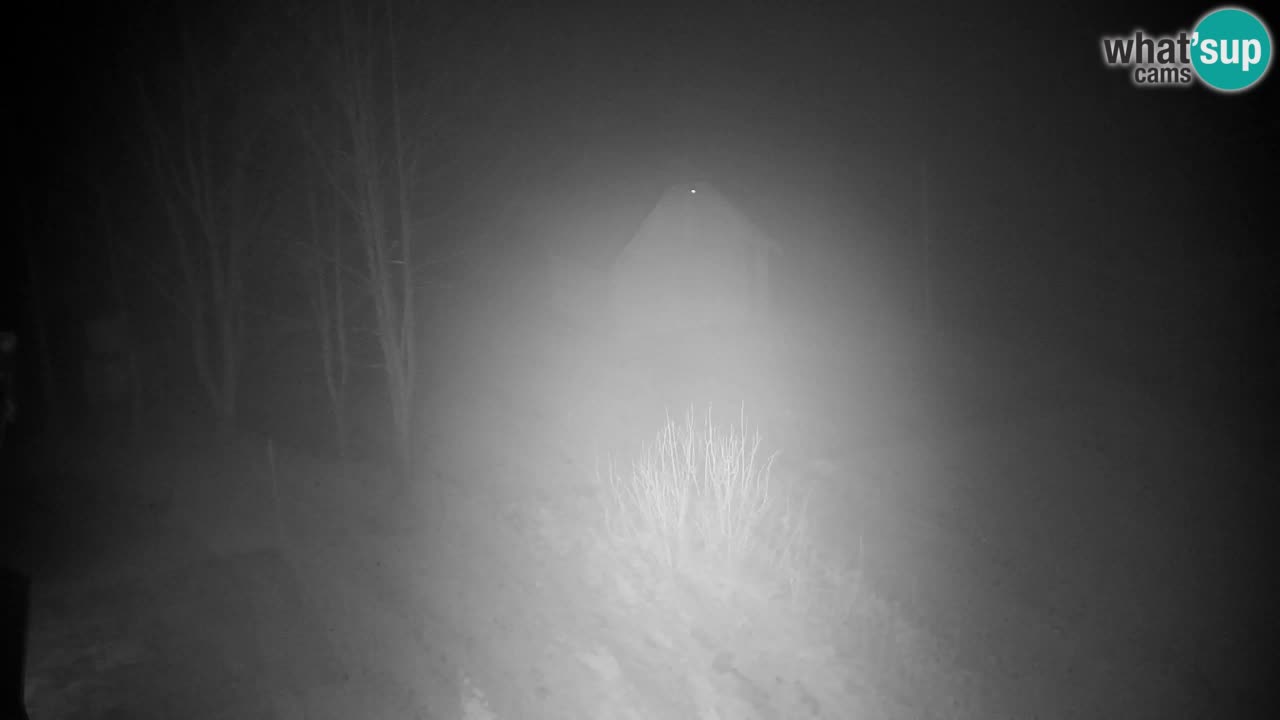 Spletna kamera Lukanja – Water Village | Pohorje Houses