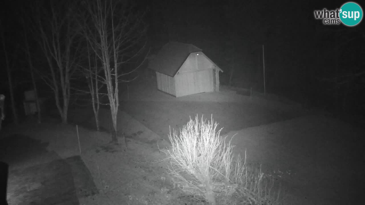 Webcam Lukanja – Pohorje houses a Water village