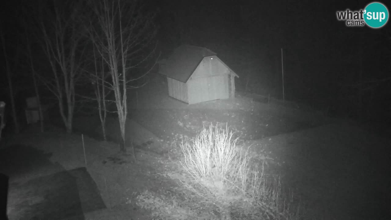 Webcam Lukanja – Pohorje houses a Water village