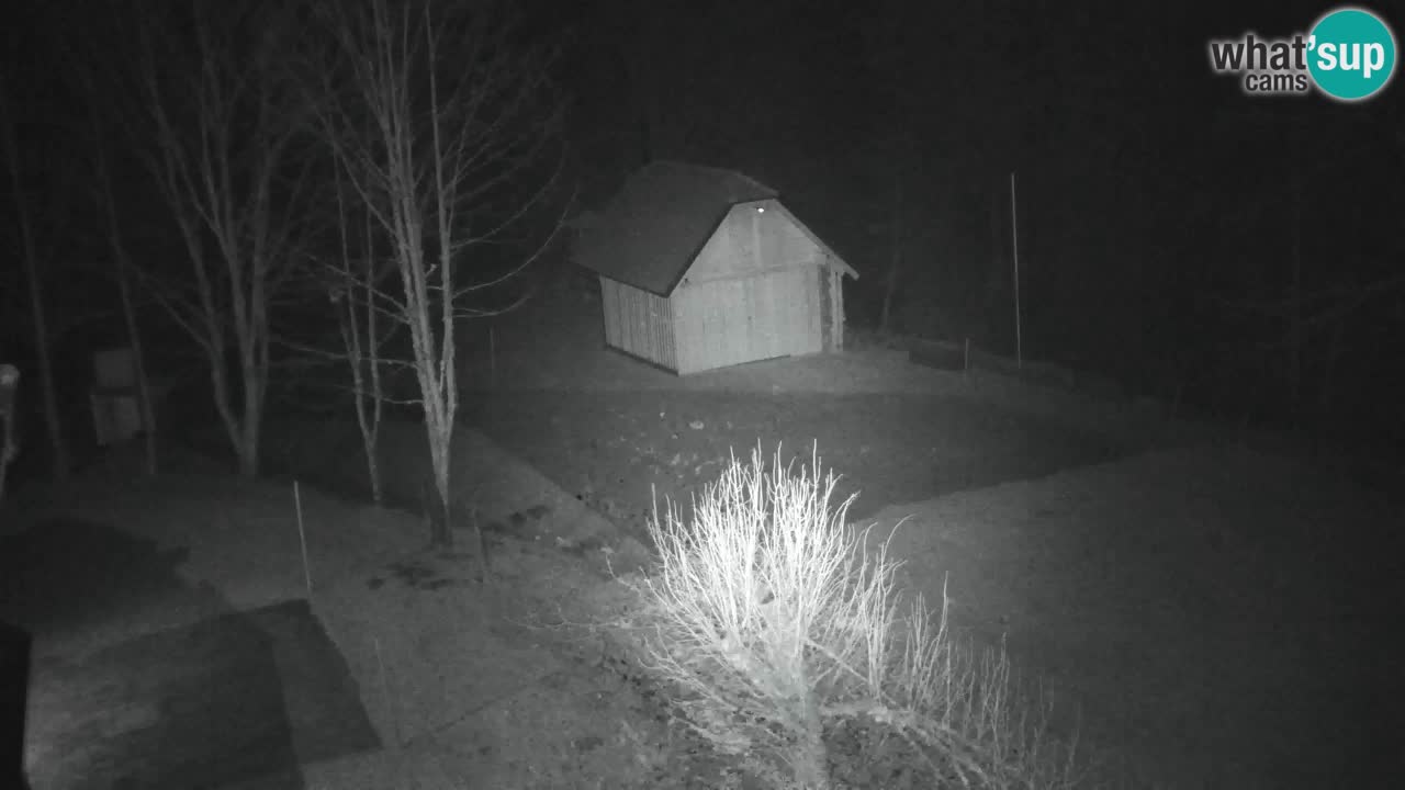 Webcam Lukanja – Water Village | Pohorje Houses