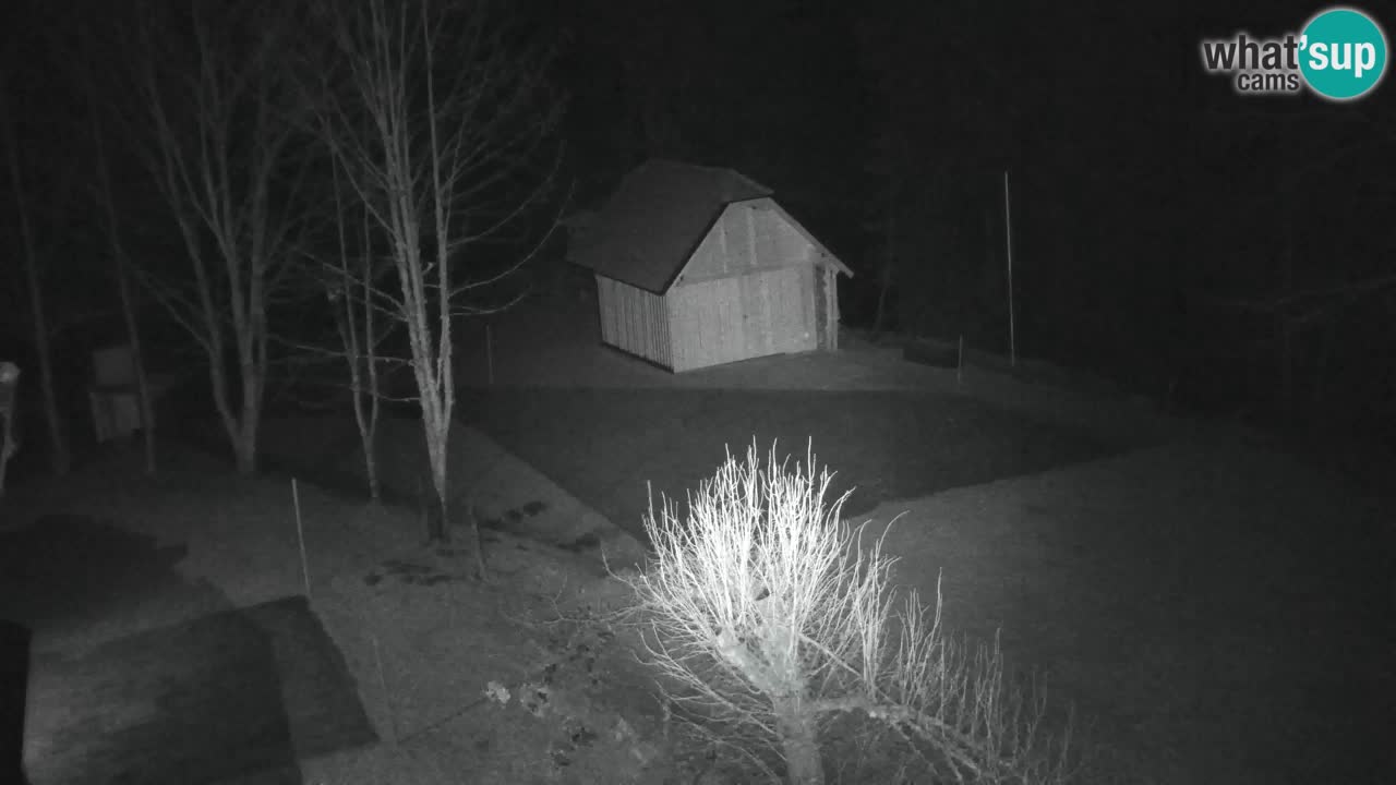 Webcam Lukanja – Water Village | Pohorje Houses