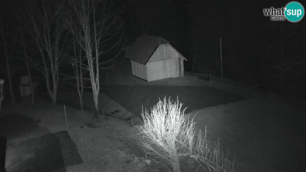 Webcam Lukanja – Pohorje houses a Water village