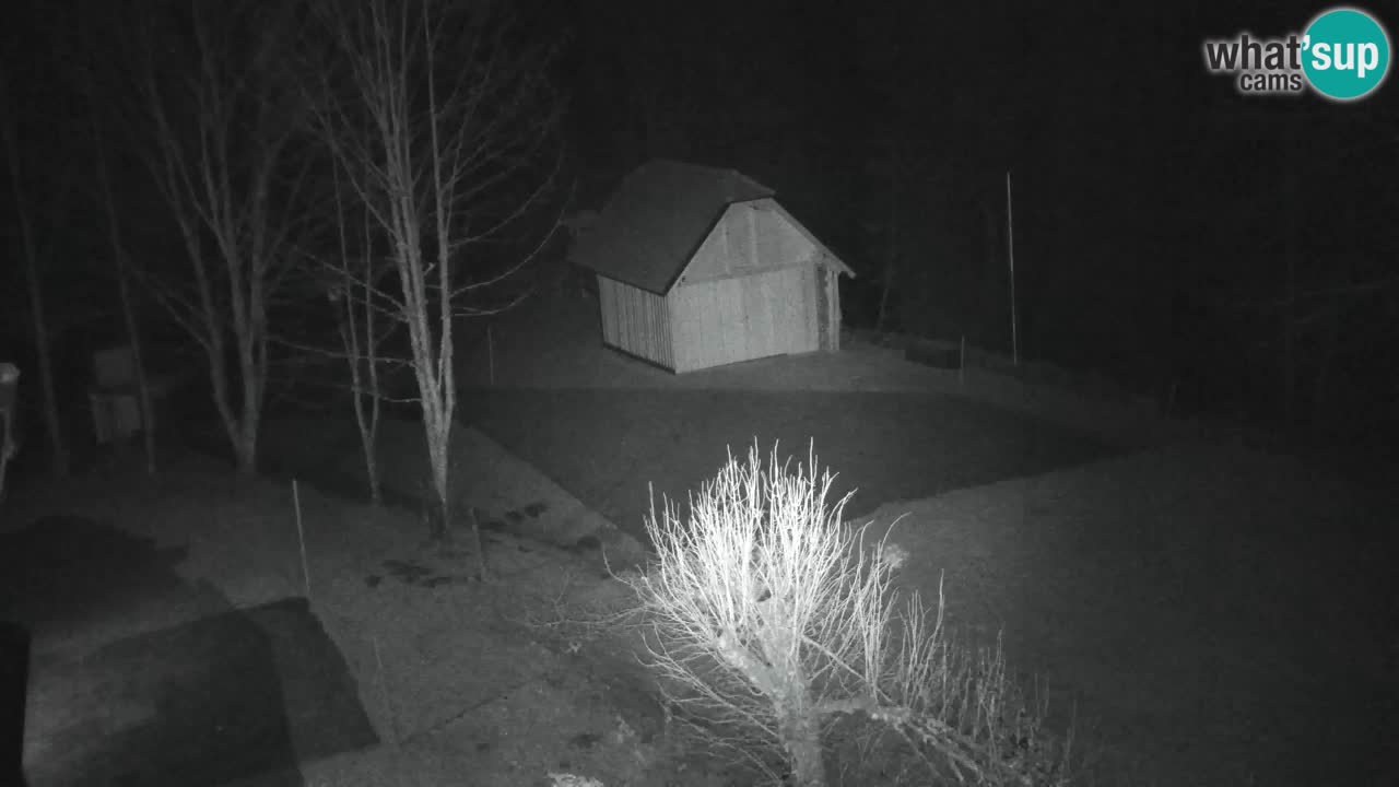 Webcam Lukanja – Water Village | Pohorje Houses