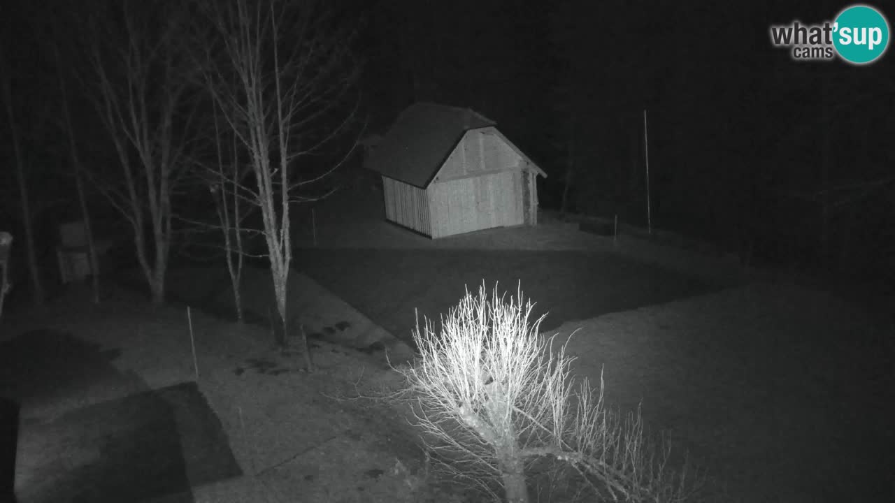 Webcam Lukanja – Pohorje houses a Water village