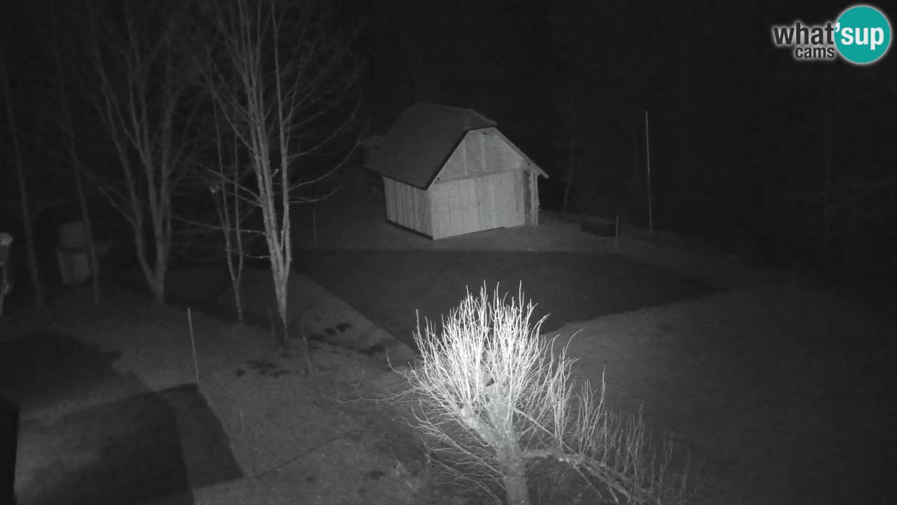 Webcam Lukanja – Pohorje houses a Water village