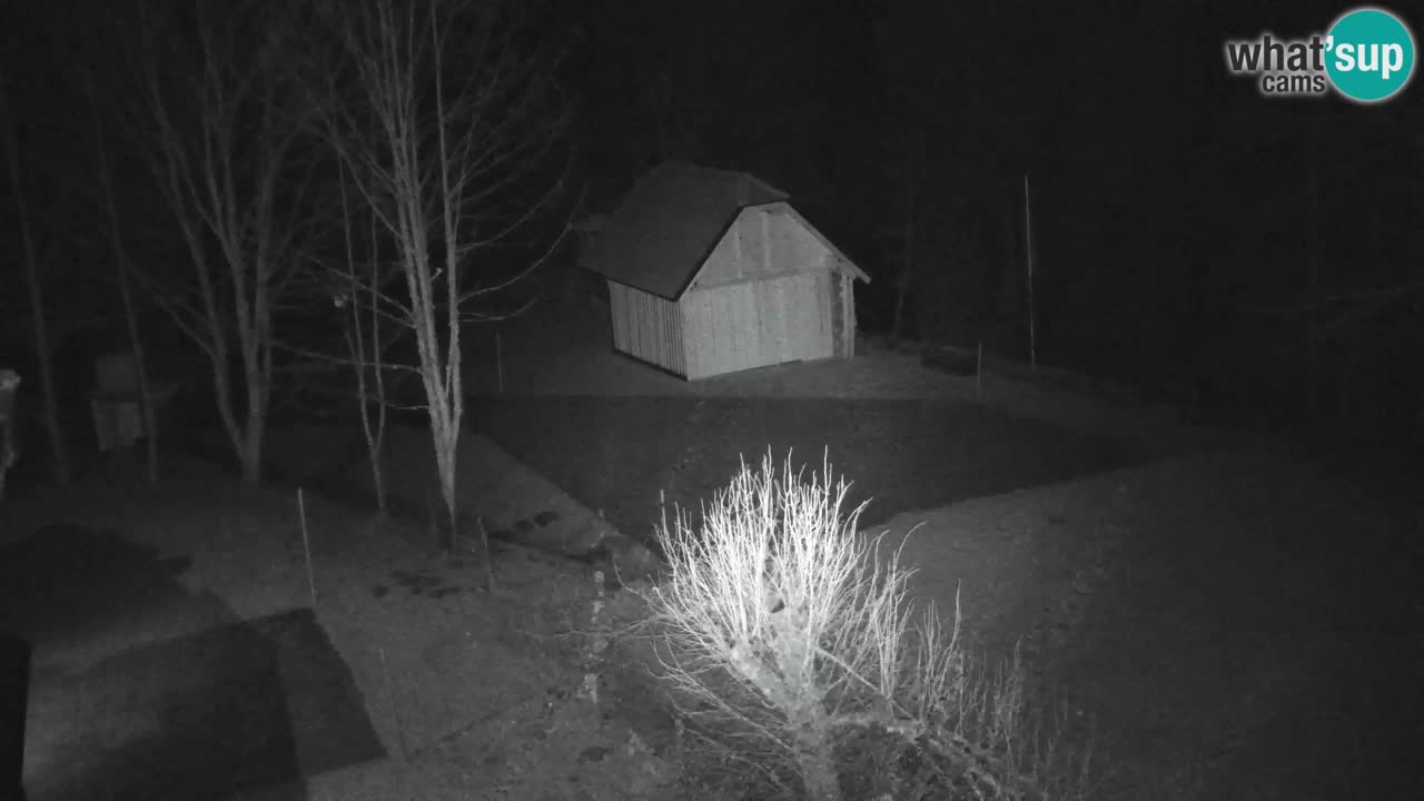 Webcam Lukanja – Water Village | Pohorje Houses