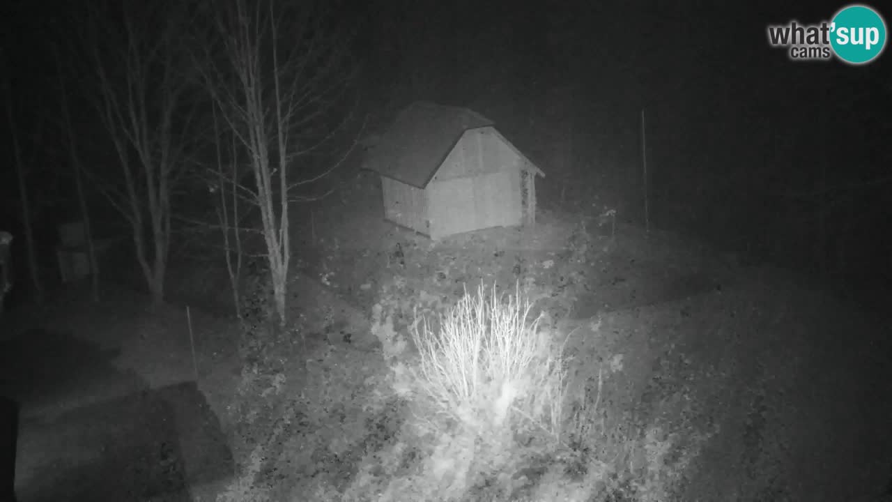 Webcam Lukanja – Water Village | Pohorje Houses