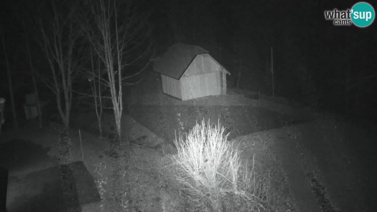 Webcam Lukanja – Pohorje houses a Water village