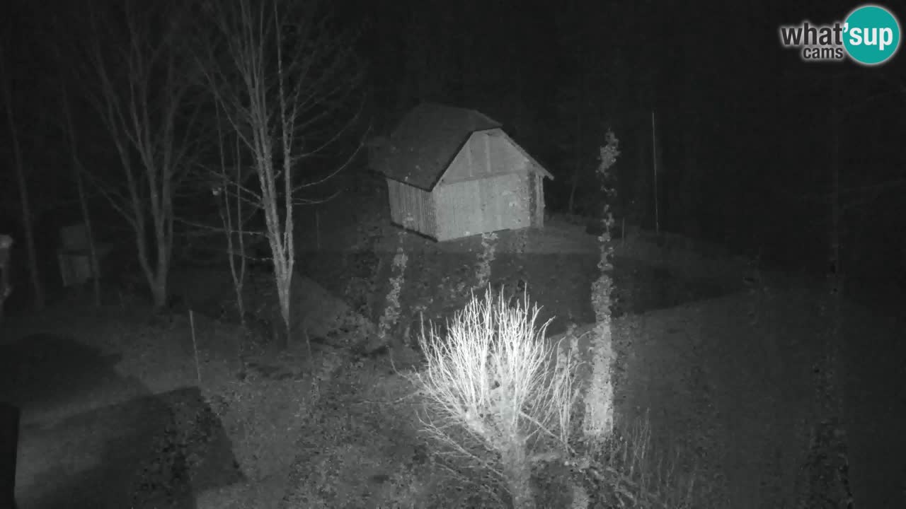 Webcam Lukanja – Pohorje houses a Water village