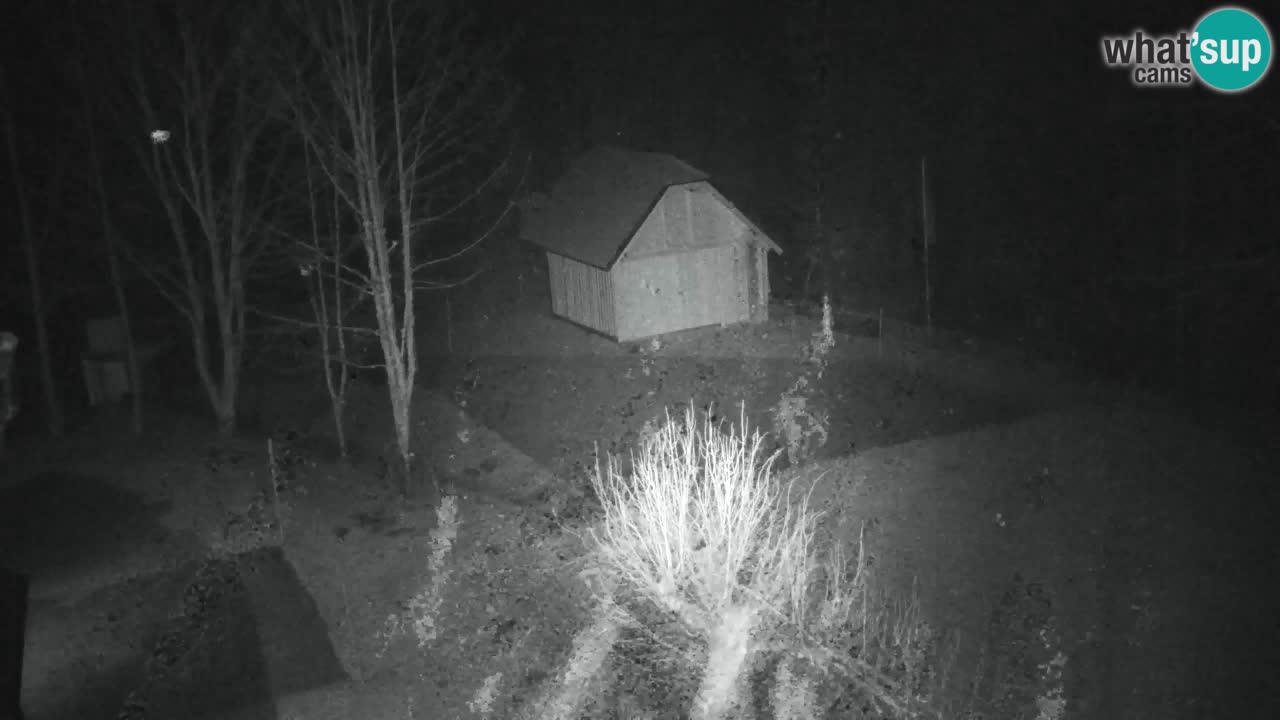 Webcam Lukanja – Water Village | Pohorje Houses