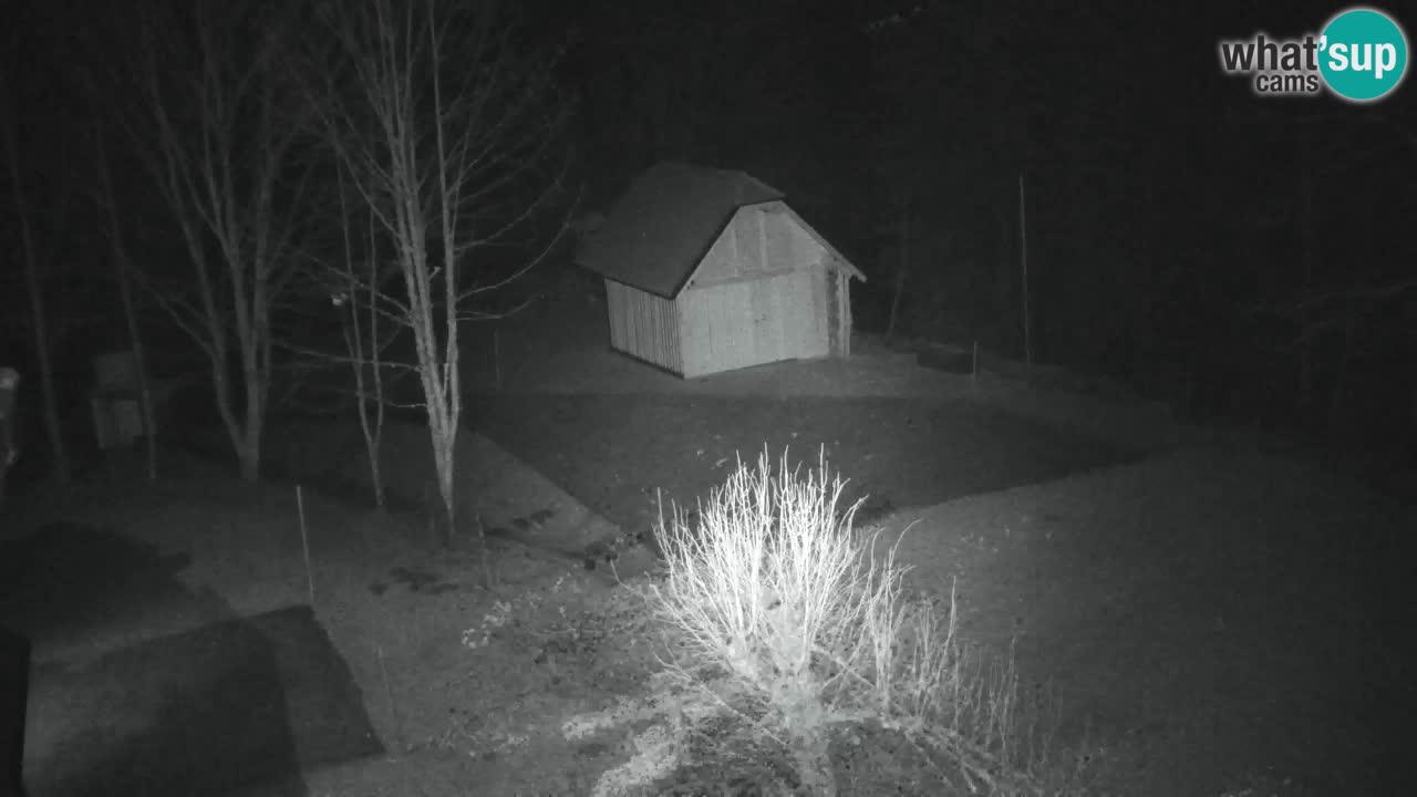 Webcam Lukanja – Pohorje houses a Water village