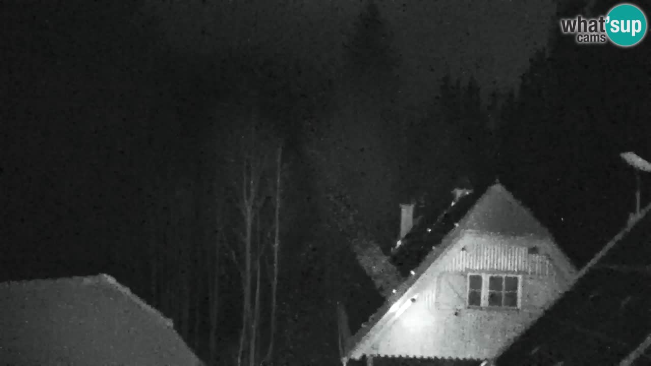 Webcam Lukanja – Water Village | Pohorje Houses