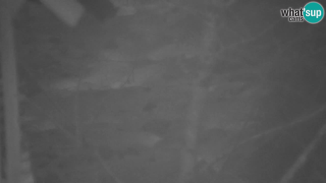 Webcam Lukanja – Water Village | Pohorje Houses