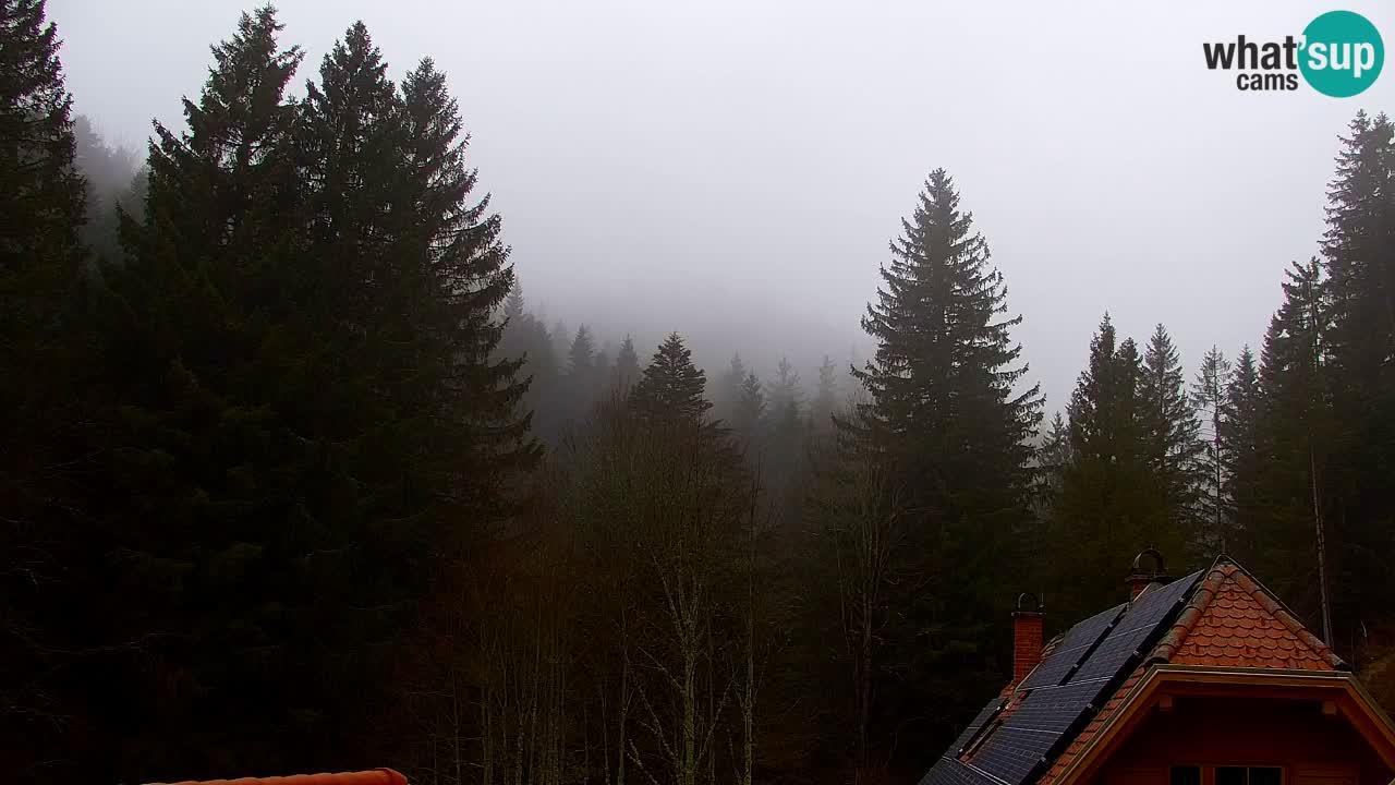 Webcam Lukanja – Water Village | Pohorje Houses