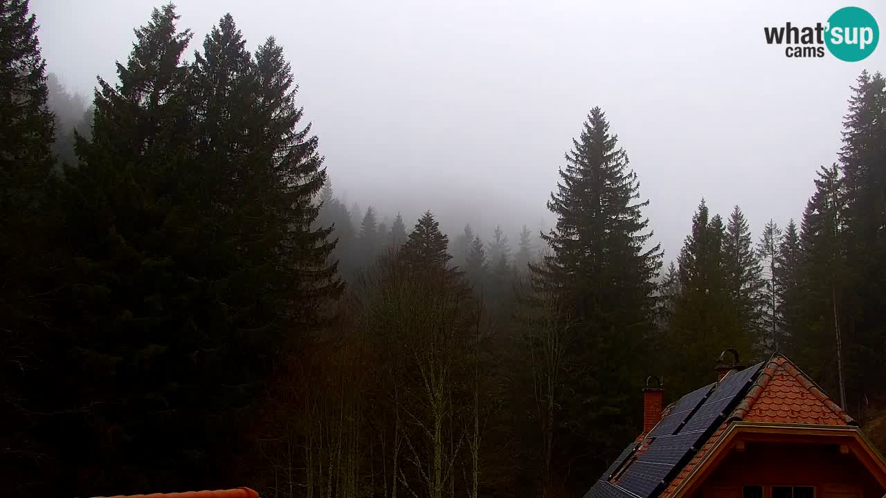 Web kamera Lukanja – Water Village | Pohorje Houses