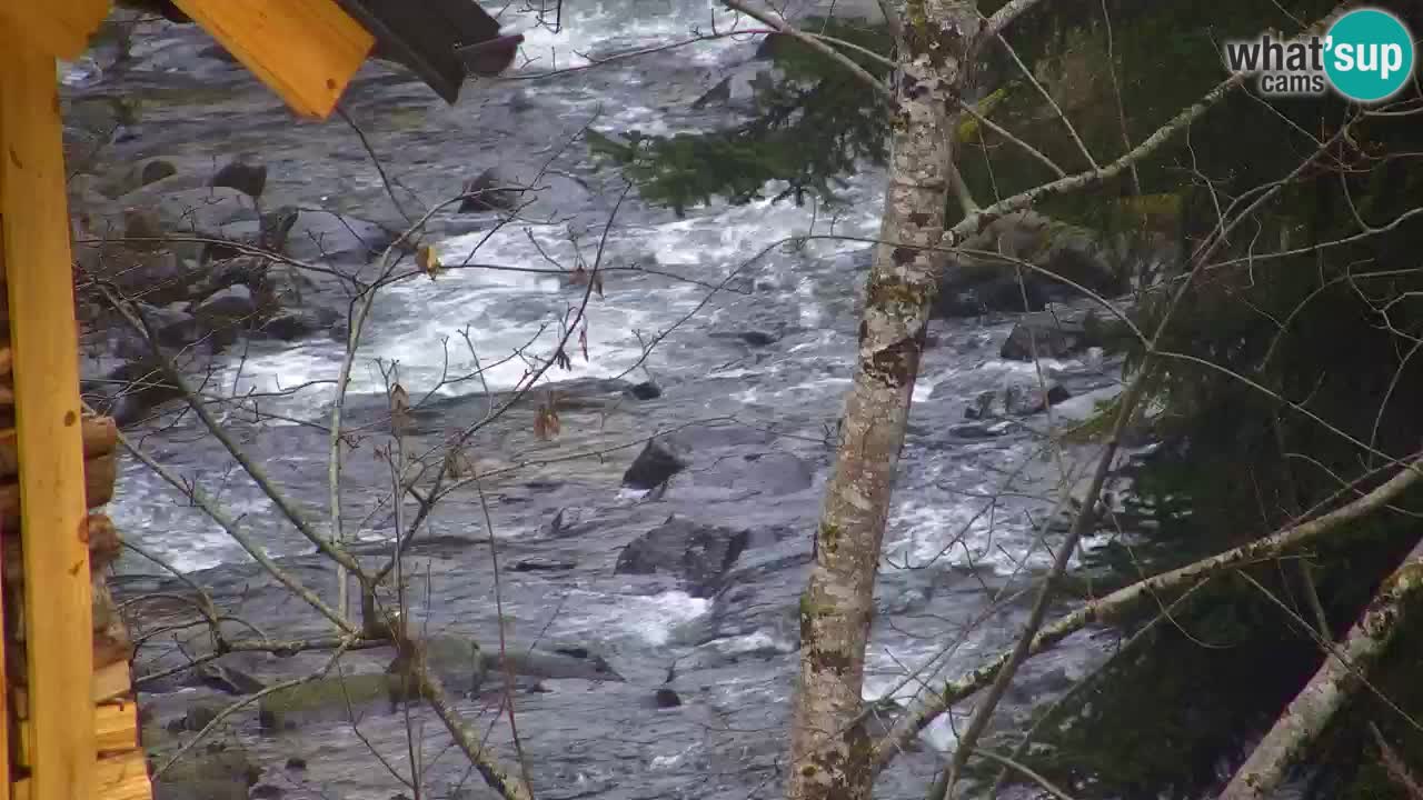Webcam Lukanja – Pohorje houses a Water village