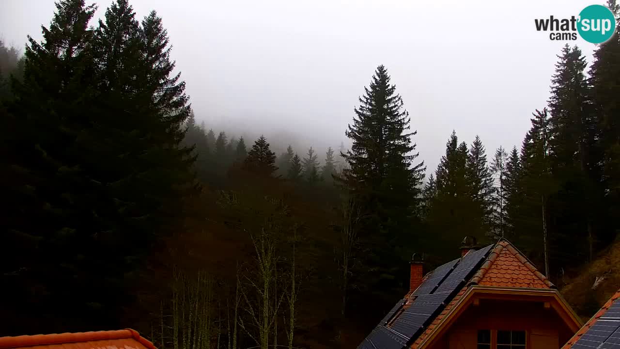 Web kamera Lukanja – Water Village | Pohorje Houses