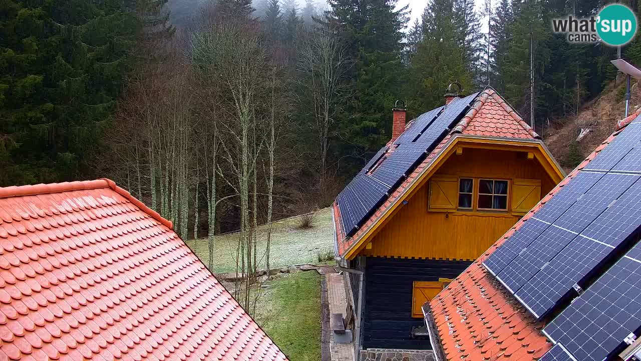 Webcam Lukanja – Water Village | Pohorje Houses