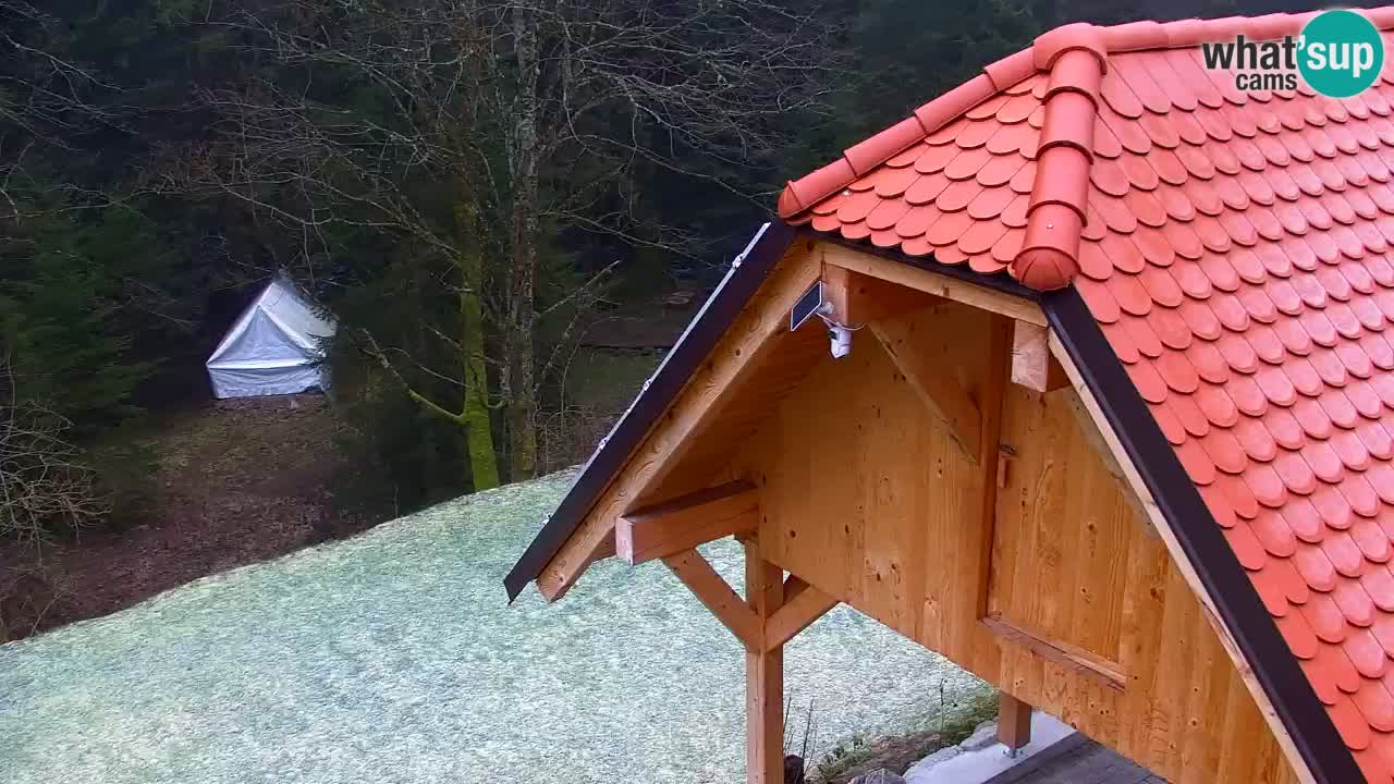 Webcam Lukanja – Pohorje houses a Water village