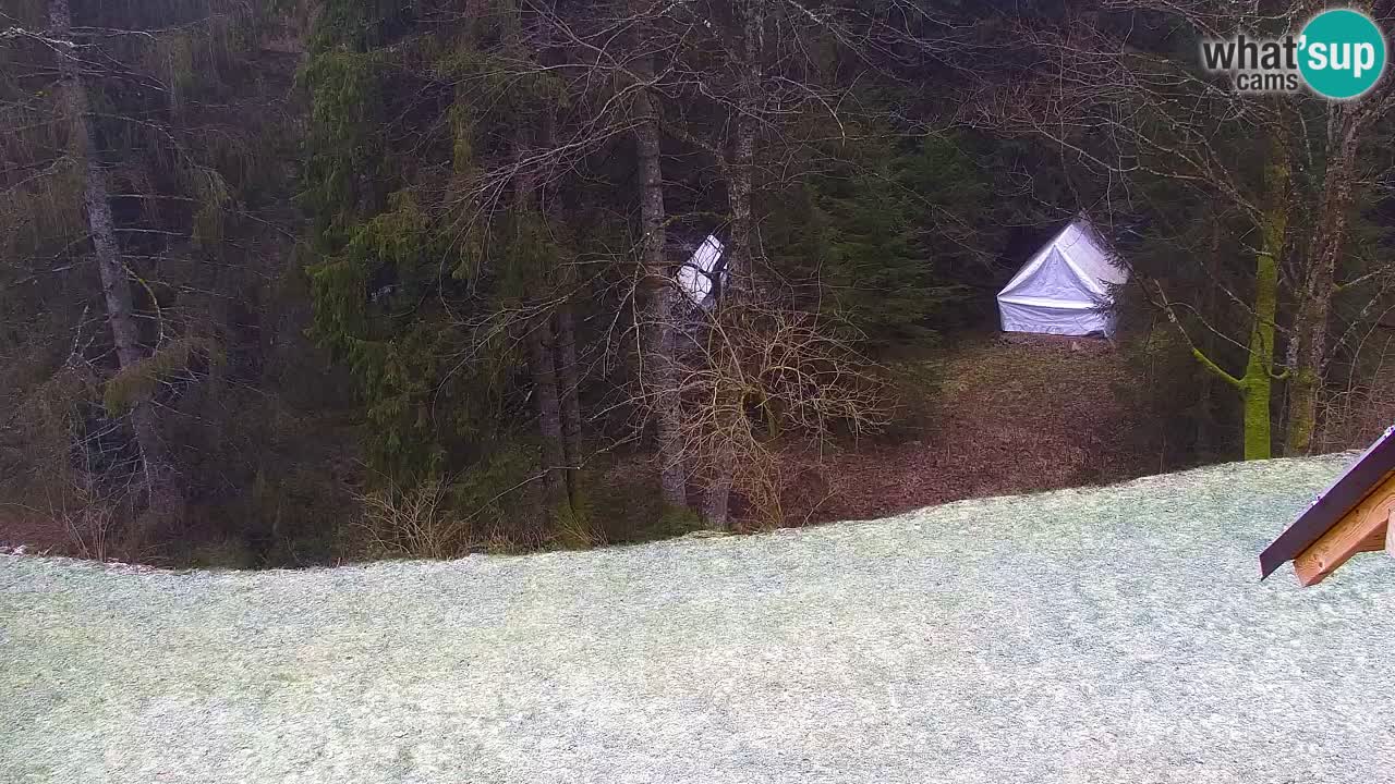 Webcam Lukanja – Water Village | Pohorje Houses