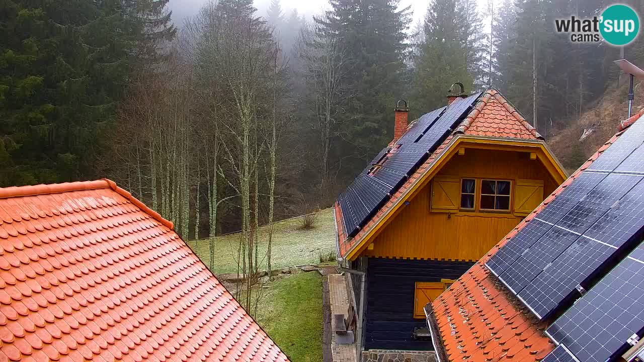 Web kamera Lukanja – Water Village | Pohorje Houses