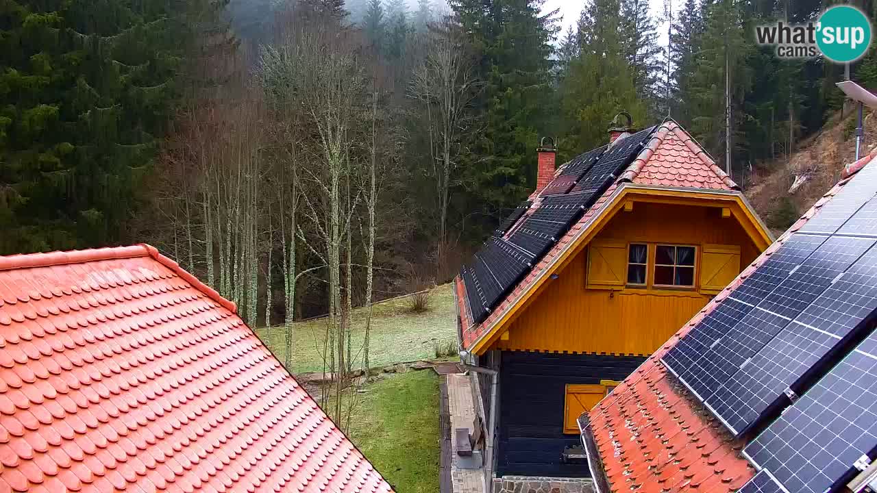 Webcam Lukanja – Pohorje houses a Water village