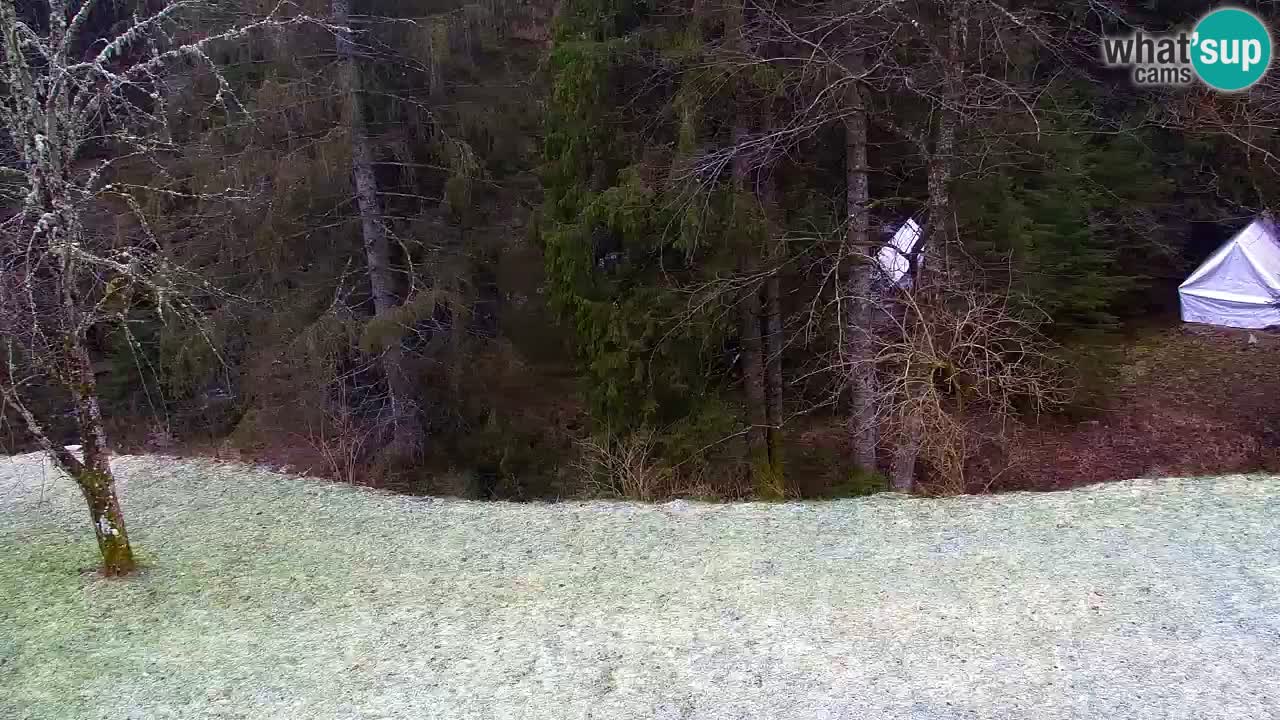 Webcam Lukanja – Water Village | Pohorje Houses