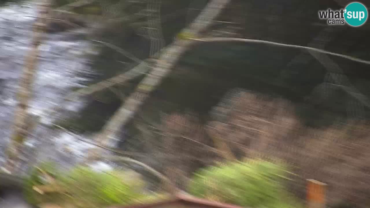 Webcam Lukanja – Water Village | Pohorje Houses