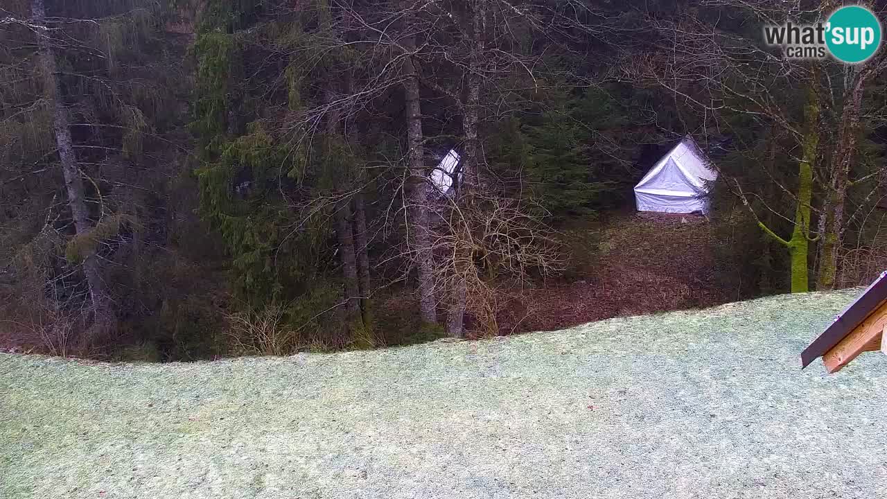 Webcam Lukanja – Water Village | Pohorje Houses