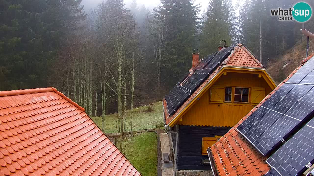 Webcam Lukanja – Water Village | Pohorje Houses