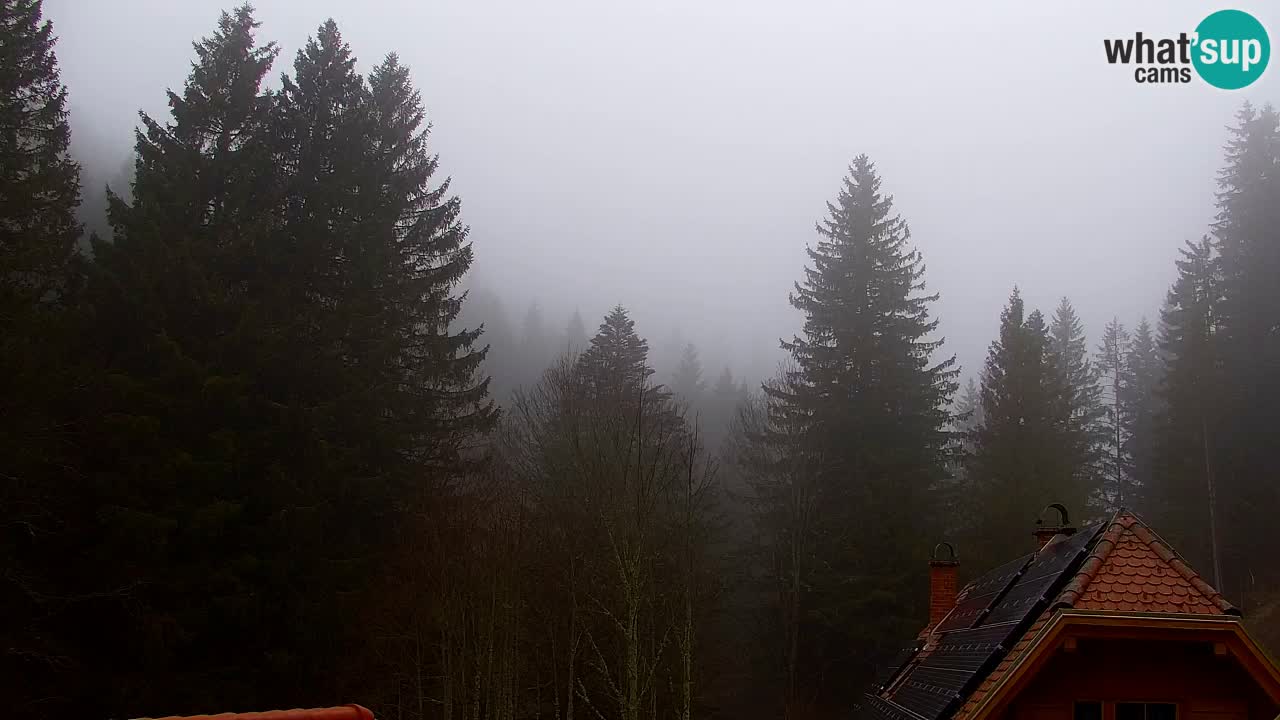 Webcam Lukanja – Water Village | Pohorje Houses