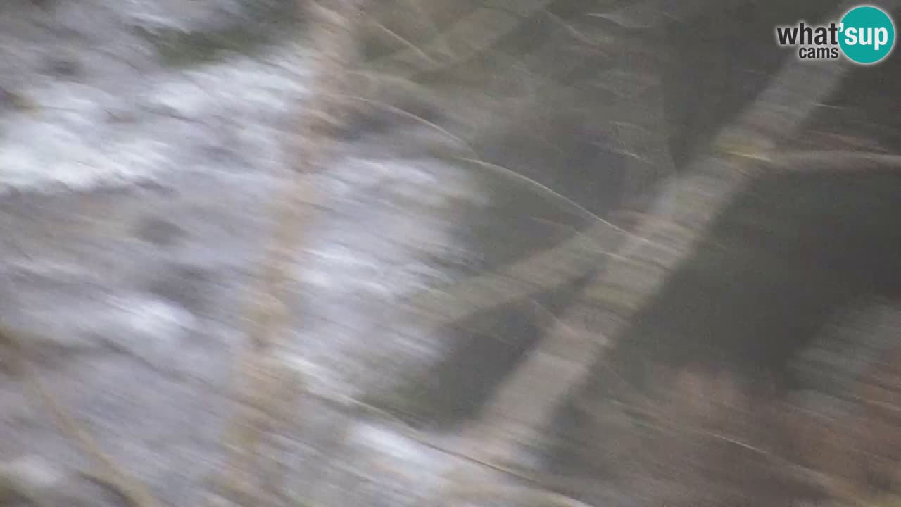 Web kamera Lukanja – Water Village | Pohorje Houses