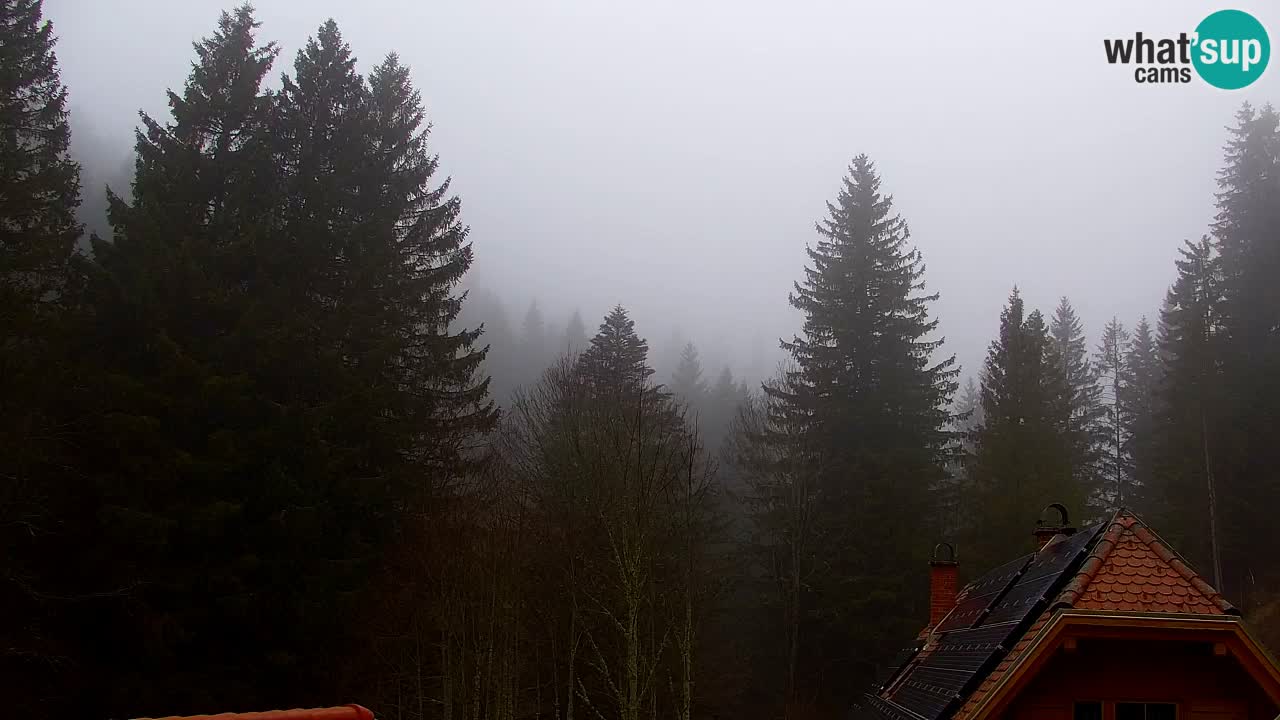 Webcam Lukanja – Water Village | Pohorje Houses