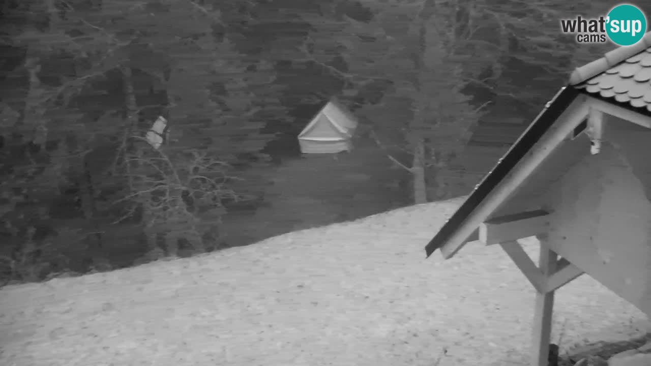 Webcam Lukanja – Water Village | Pohorje Houses